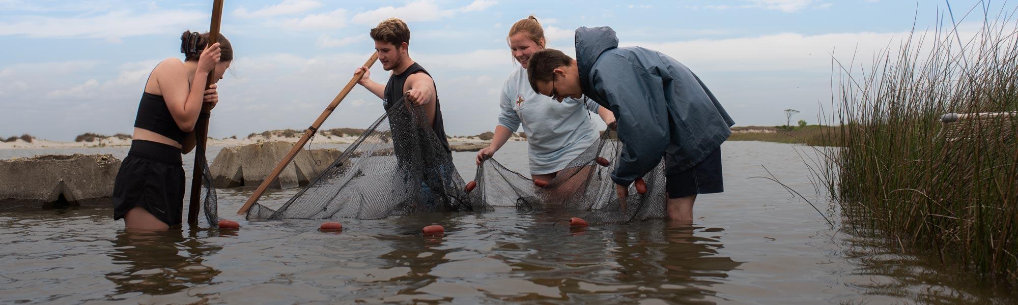 Stokes School of Marine and Environmental Sciences students doing work in Mobile Bay